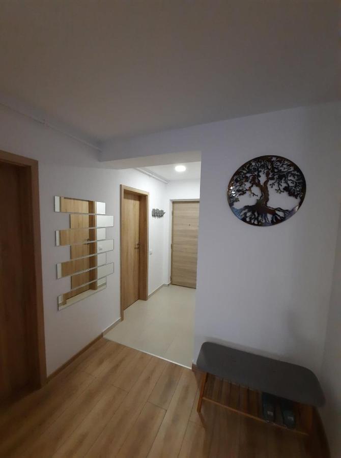 Sorin'S Comfortable Apartment Braşov Exterior foto